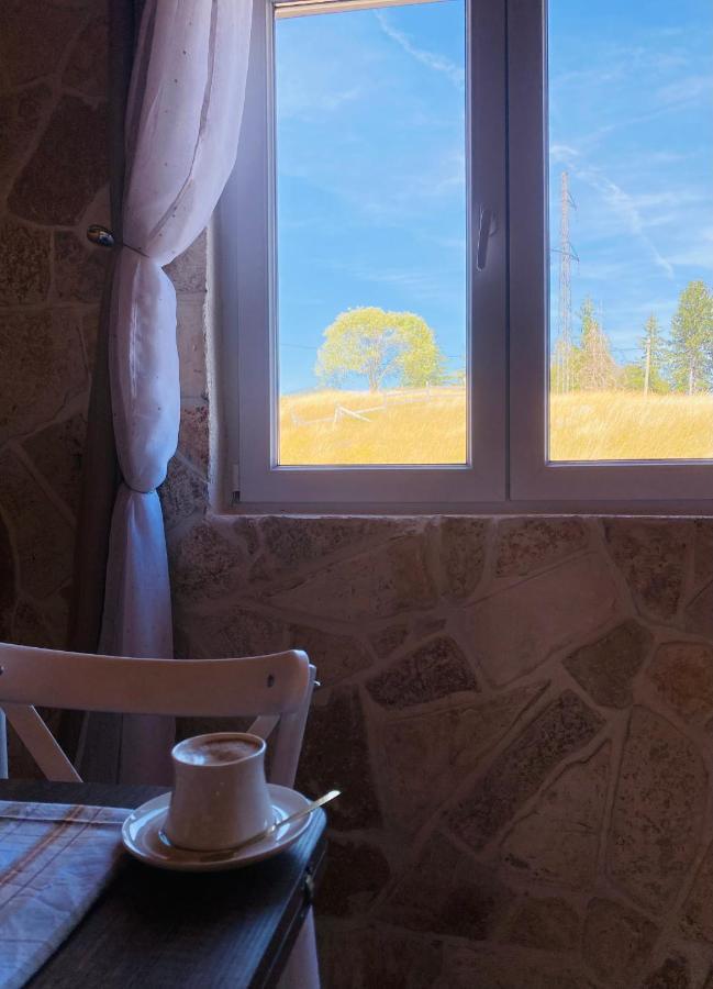 Red Rock Villa Žabljak Dış mekan fotoğraf